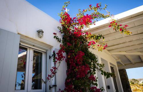 Villa Artemis (Agios Lazaros, Psarou) - Foto 3