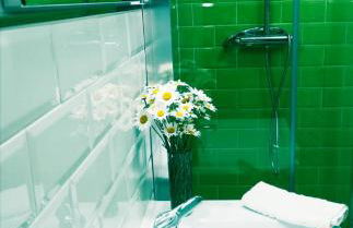 Pico San Carlos ll - Photo 6