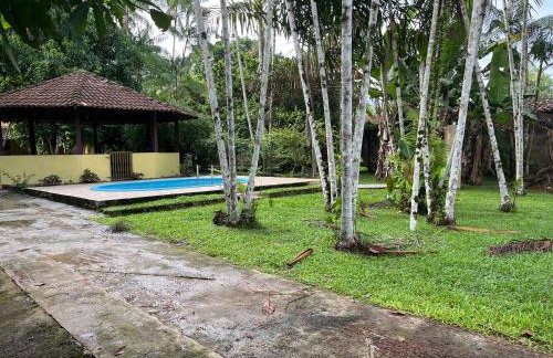 Chácara em Benevides - Photo 2