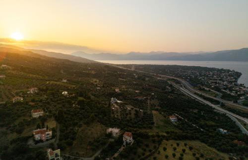 Elaia Retreat by Greece Apartments - Photo 9