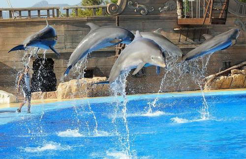 Off-grid Luxury Villa with Tikibar by the pool. - Photo 16