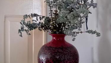 The Corner House - Charming Rustic Home in the Heart of Monchique - Photo 5