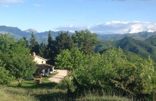 Casa Flori & Leonardo's Country House - Foto 1