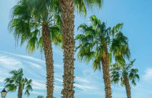 Club Salino Hideaway-Your Peaceful Retreat with Pool in Torrevieja - Photo 20