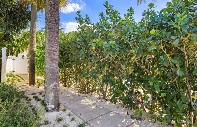 Mango House Dania Beach - Foto 14