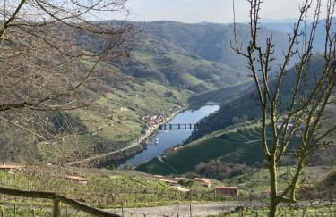 Mirar&Soñar - Foto 11