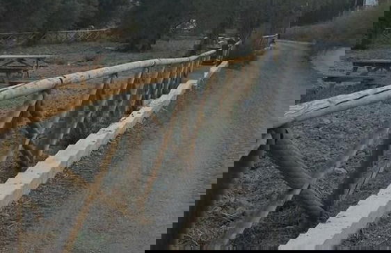 Agriturismo Donna Beatrice - Photo 19