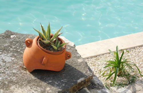 Mazet Solaris - Foto 11