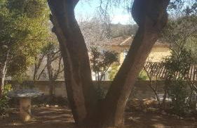 Charmant Appartement Neuf Le Taoume - Foto 21