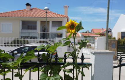 Casa do Mural - Sesimbra, Lagoa de Albufeira e Aldeia do Meco - Foto 29