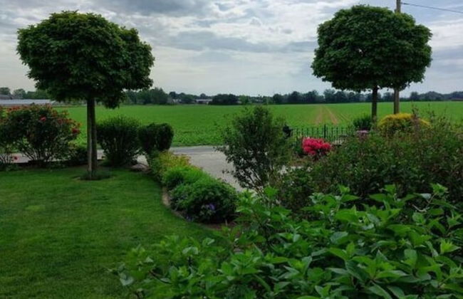 Sunshine Comfortable Holiday Residence - Photo 14