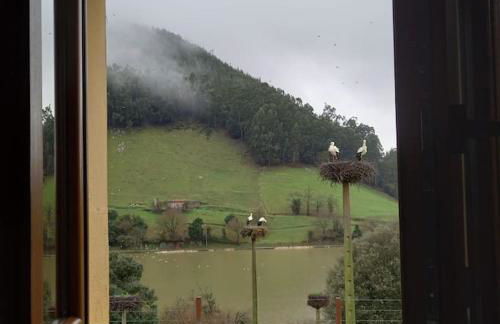 PequeñoCabárceno - Foto 55