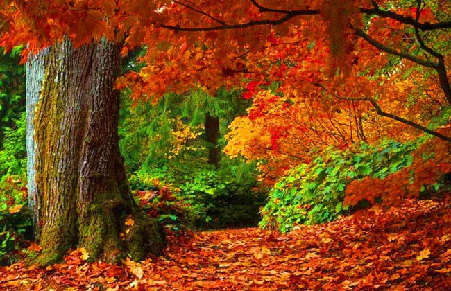 LA Nana DEL MAR Flat on the old Port of Cudillero - Photo 47