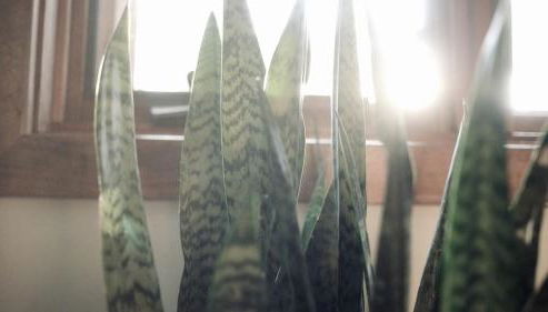 Stunning Home Away From Home in New Albany, Ohio, For Restful Escapes to Nature - Foto 3