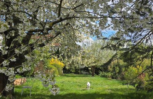 Exklusive Ferienwohnung Bad Salzschlirf - direkt am Waldrand - großer Garten kompett umzäunt - Hunde willkommen - 2 private Stellplätze - Foto 50