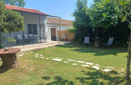 christos cottage! comfortable and quiet! - Foto 16