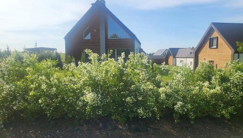 Jaśminowy Sad - Foto 3