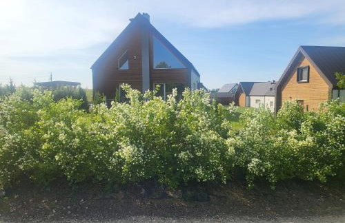 Jaśminowy Sad - Foto 3