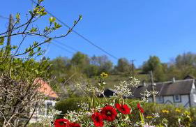 Ferienhaus Roßbachtal - Foto 28