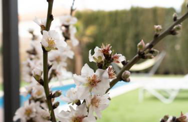 Casa Schaefer - Wunderschönes Haus mit Pool in der Nähe von Palma - Foto 18