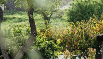 RentitSpain 15 Minutes from the Beach Cortijos Fandango Comfort y Mountain Views - Photo 5, Garden, Garden view