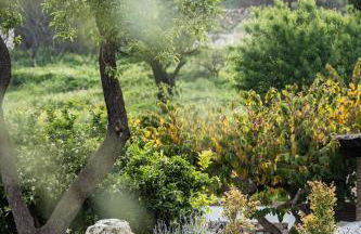 RentitSpain 15 Minutes from the Beach Cortijos Fandango Comfort y Mountain Views - Photo 5