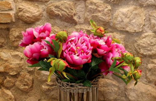 Residenza Cà BIANCA - Appartamento REFOSCO - Foto 9