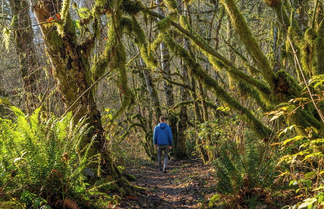 Postcard Cabins Skagit Valley, Outdoor Collection by Marriott Bonvoy - Foto 58
