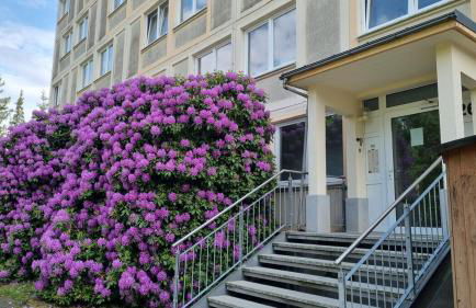 Gemütliche Ferienwohnung mit Sauna und Balkon im Zentrum von Bad Elster - Photo 20