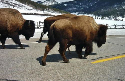 Cozy Immaculate Cabin - Peaceful Retreat! - Foto 23