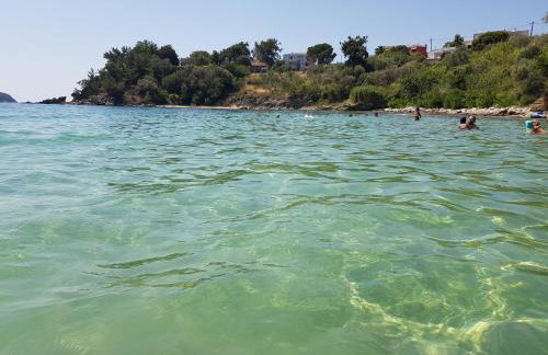 Stella's Garden - Foto 45