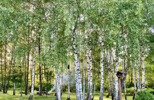 Brzozowy Chillout - Foto 19