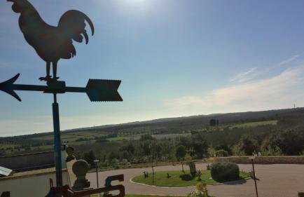 Masseria Causio - Photo 7