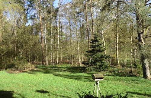 Ferienwohnung Bachforelle - Foto 1