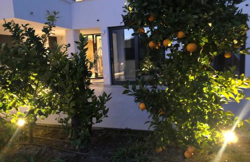 Apartments villa Ladini - Foto 36