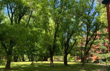 Bilocale nuovo - Basiglio Humanitas - Foto 31