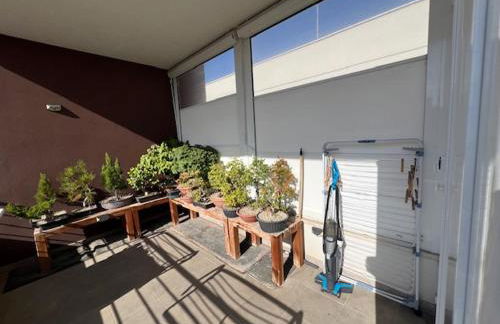 Urban Jungle - Foto 4