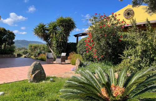 Agriturismo Campesi casale tra le vigne - Photo 9