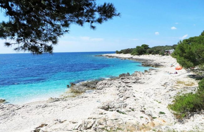 Nice Apartment With Roofed Terrace, Near the Sea - Foto 35