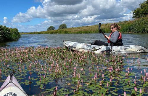Wheelwrights Cottage by Bloom Stays - Photo 34