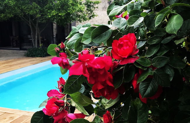 La Paresse en Ville - Photo 72