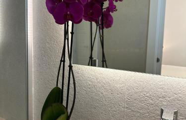 Apartamentos Casa Cabot - Rosario - Foto 19