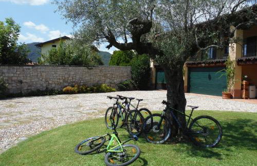 Agriturismo Villa Antonella - Photo 27