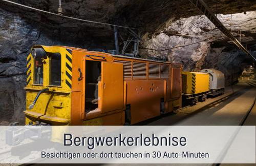 Ferienwohnung im Sauerland Hunde willkommen Kamin und Garten am Waldrand Muehls-Sauerland - Foto 52