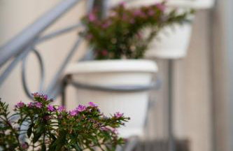 Apartman Kuća 150 - Foto 6