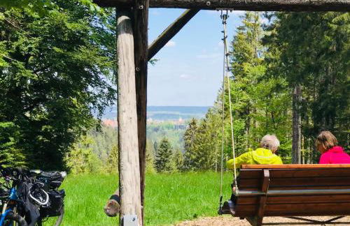 Haus Jenni im Schwarzwald, 3,5-Zimmer, große Terrasse - Foto 63