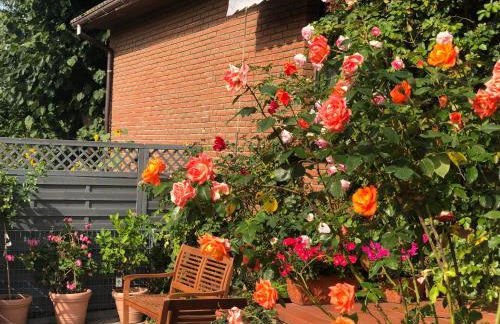 Ostseebauernhof Familie Jäger - Foto 15