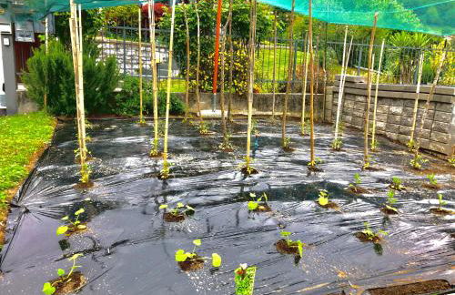 B&B Garzola - Foto 79