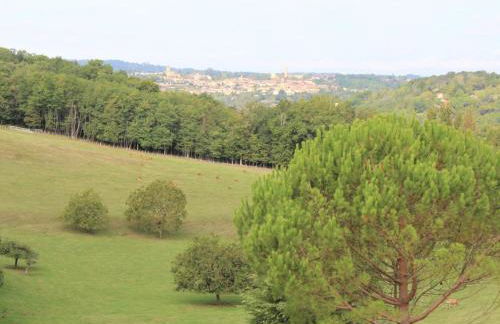 Location paisible proche de Belvès, animaux admis, terrasse - FR-1-616-147 - Foto 8