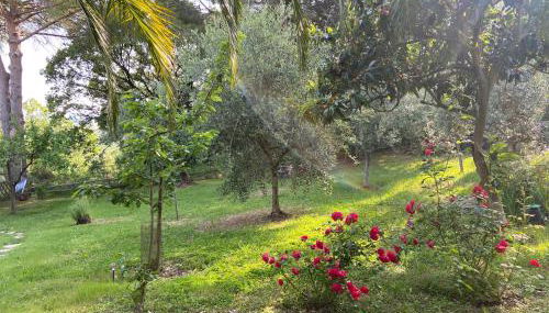 Villa Antonella - Foto 4, Garden